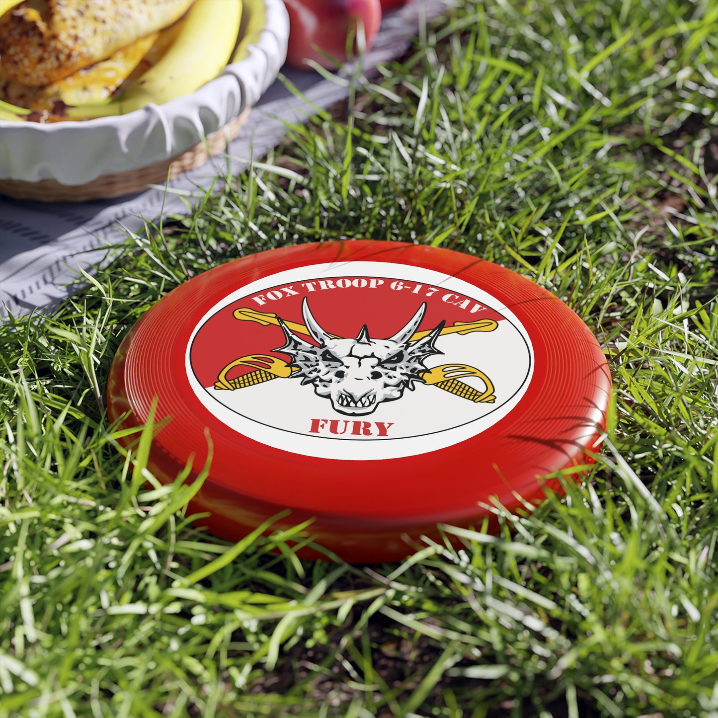 6-17 AIR CAV F Troop Cavalry Wham-O Frisbee