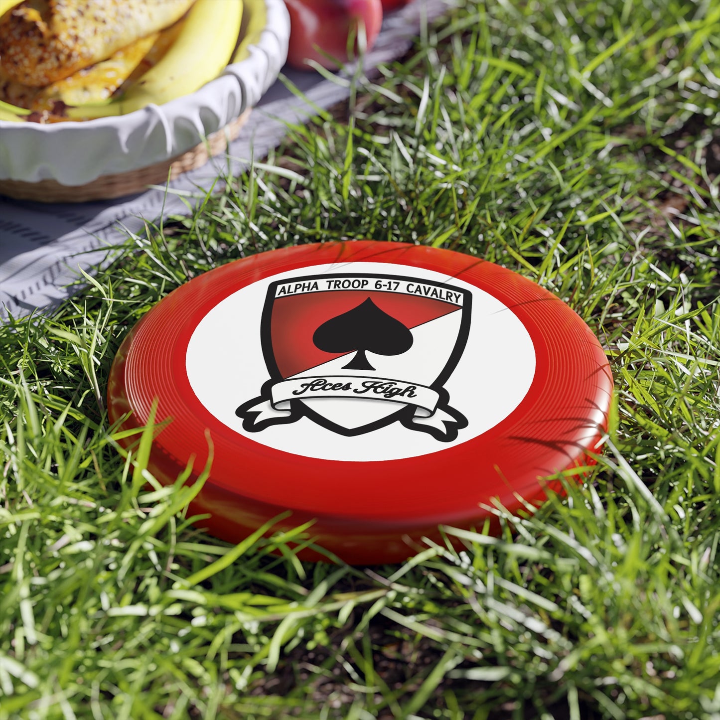 6-17 AIR CAV A Troop Cavalry Wham-O Frisbee