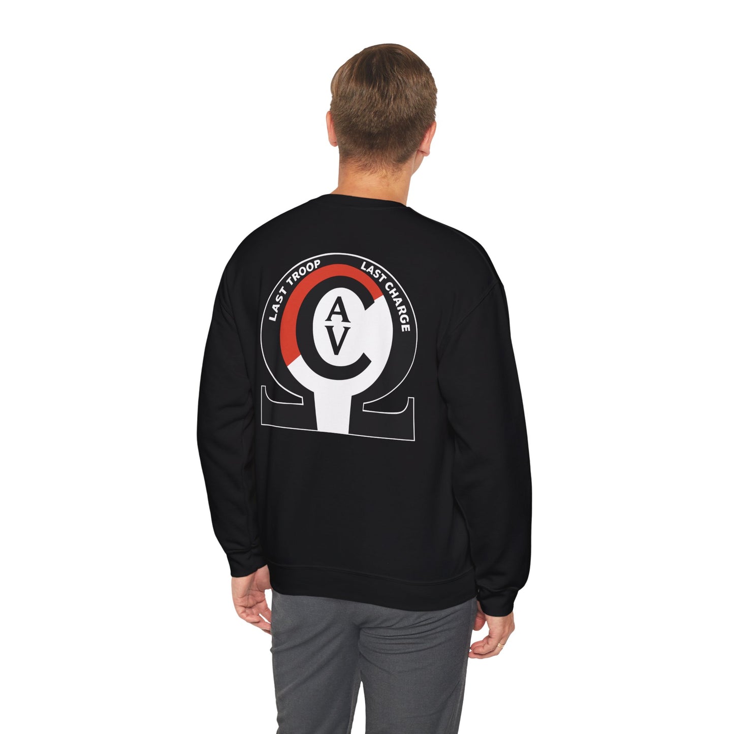 LAST TROOP - LAST CHARGE  6-17 AIR CAV Charlie Troop Unisex Heavy Blend Crewneck Sweatshirt