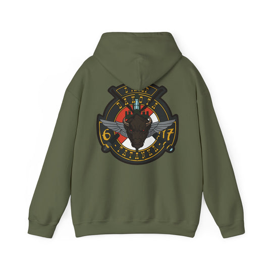 6-17 AIR CAV Delta Troop Heavy Blend Hooded Sweatshirt