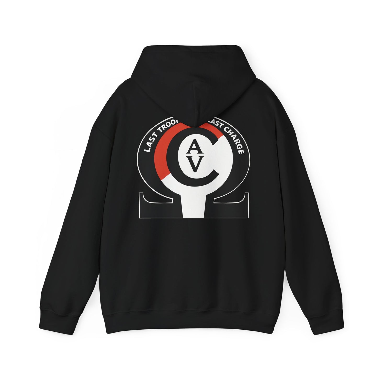 LAST TROOP - LAST CHARGE  6-17 AIR CAV C Troop Unisex Heavy Blend Hooded Sweatshirt
