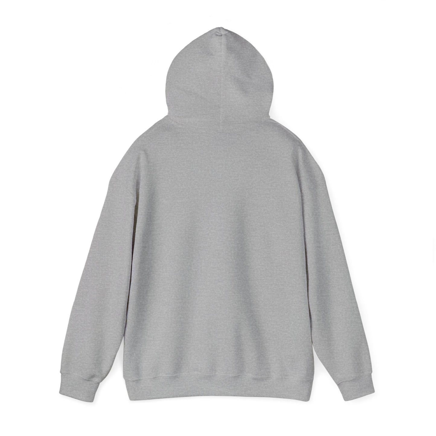 29.92 Kiowa Heavy Blend Hooded Sweatshirt