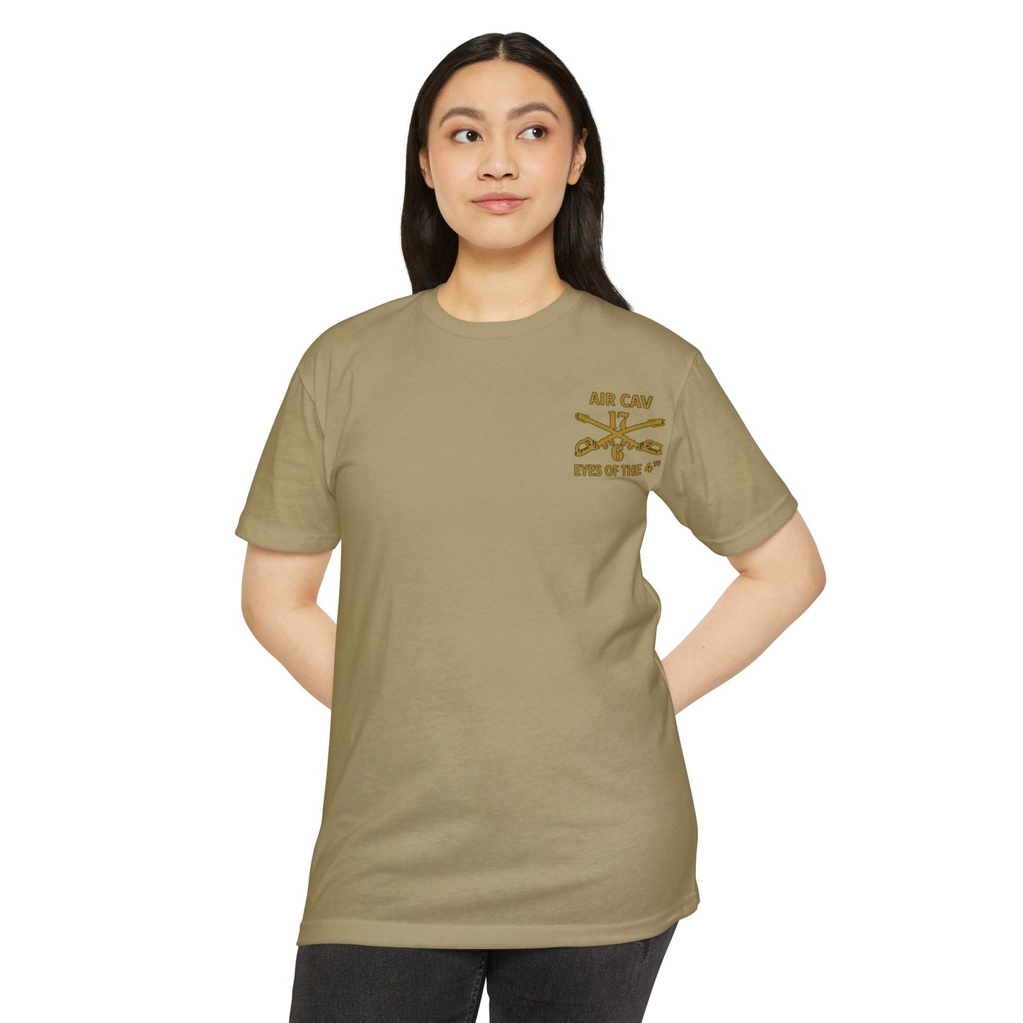 6-17 AIR CAV Alpha Troop 60% Cotton 40% Polyester PT CVC Jersey T-Shirt
