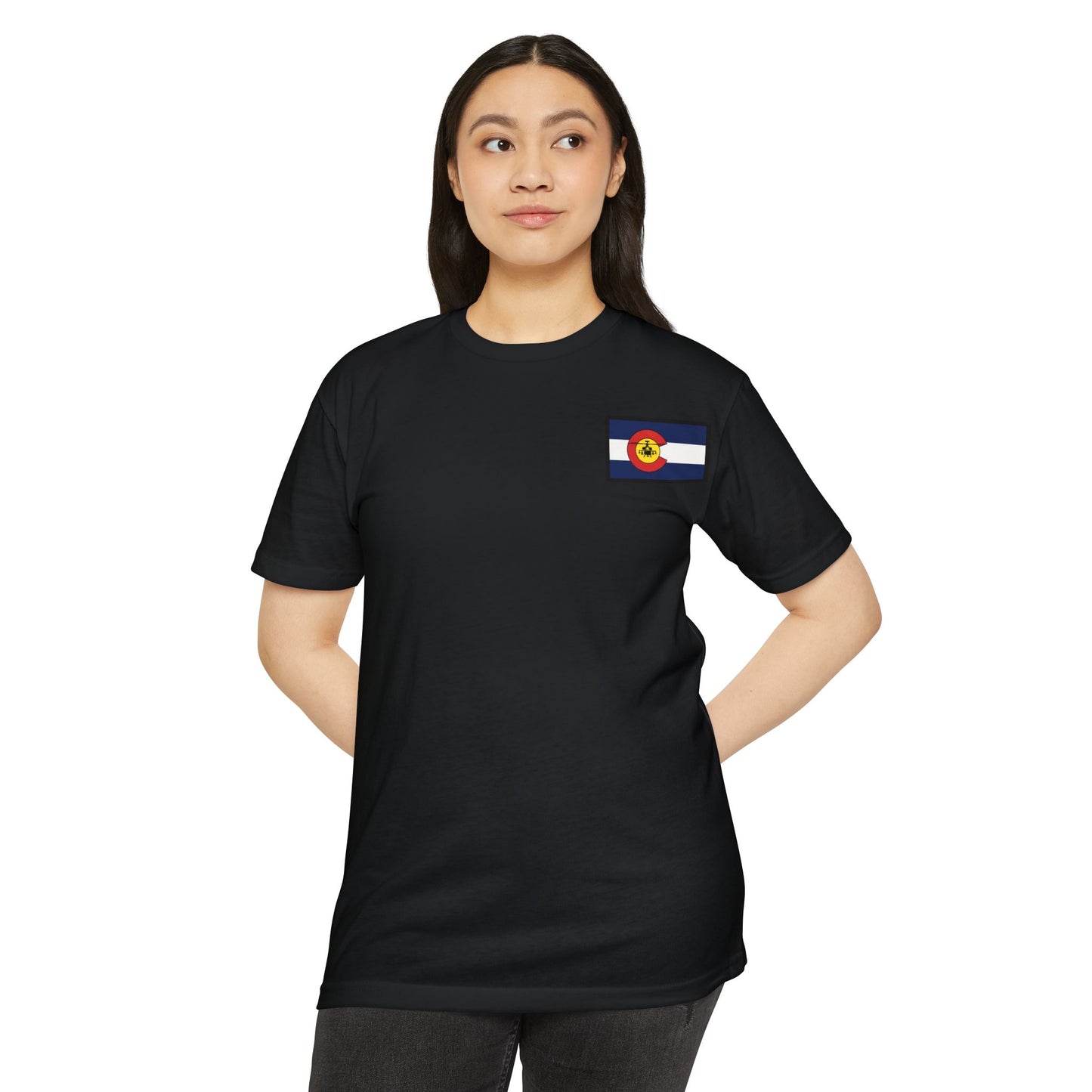 LAST TROOP - LAST CHARGE Sunset **Apache Flag Front** Legacy 6-17 AIR CAV C Troop 60% Cotton 40% Polyester PT CVC Jersey T-Shirt