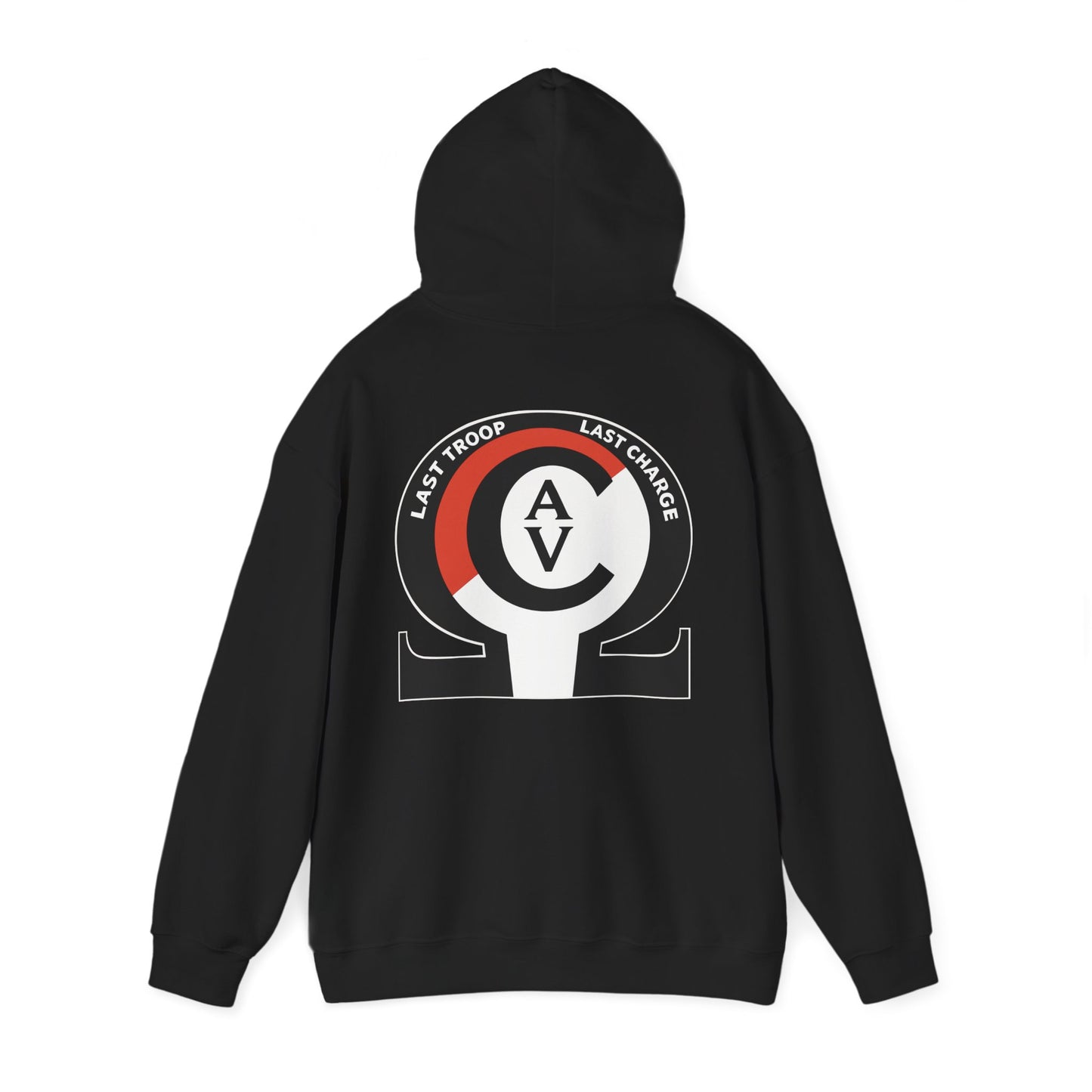 LAST TROOP - LAST CHARGE  6-17 AIR CAV C Troop Unisex Heavy Blend Hooded Sweatshirt