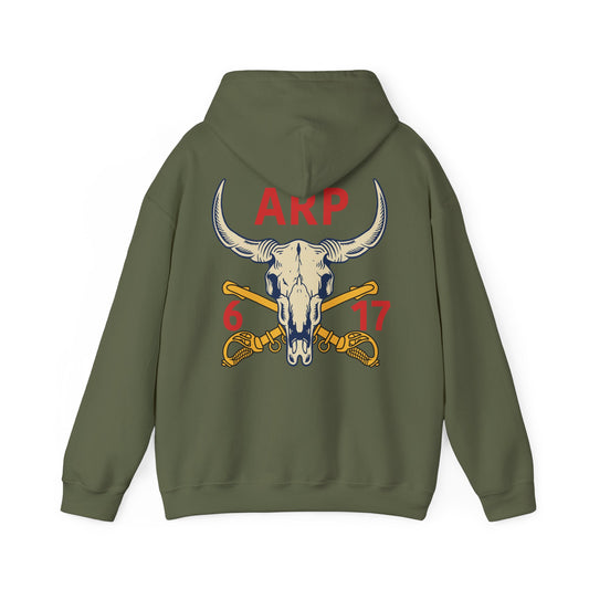 6-17 AIR CAV Delta Troop ARP Heavy Blend Hooded Sweatshirt