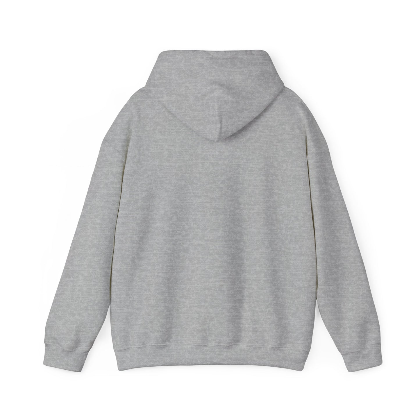 29.92 Kiowa Heavy Blend Hooded Sweatshirt