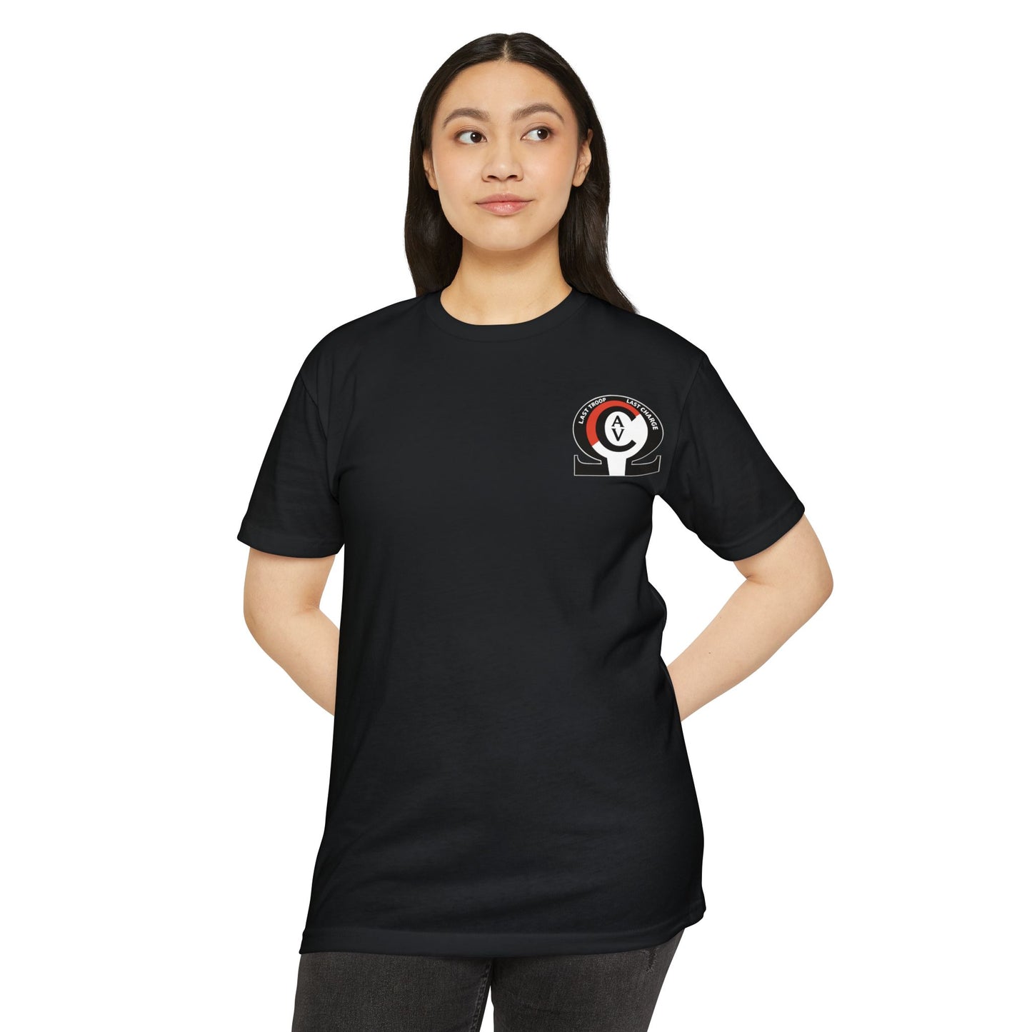 LAST TROOP - LAST CHARGE Sunset 6-17 AIR CAV C Troop 60% Cotton 40% Polyester PT CVC Jersey T-Shirt